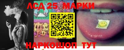молекула духа Будённовск