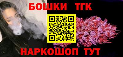 молекула духа Будённовск